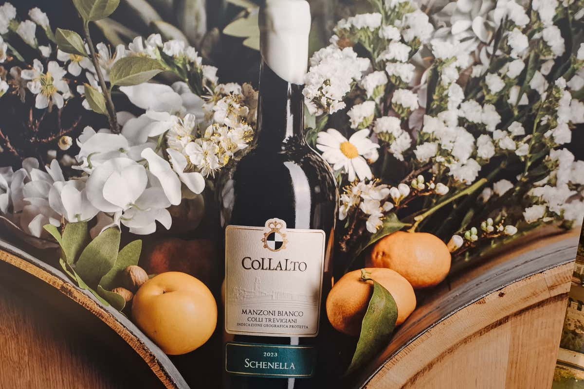 Castello San Salvatore e Cantina Conte Collalto: secoli di storia e vini d'eccellenza Castello San Salvatore e Cantina Conte Collalto: secoli di storia e vini d'eccellenza