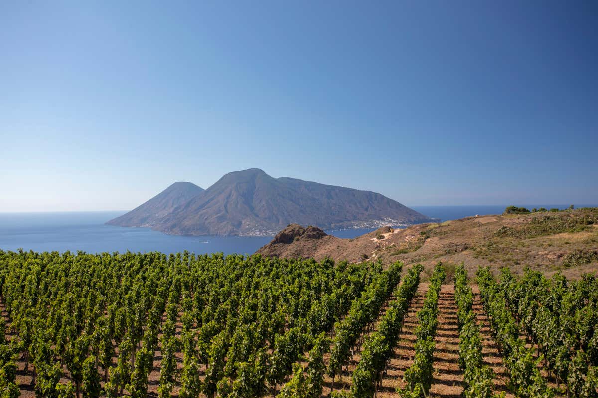 Tenuta di Castellaro: i vini eroici delle Eolie si presentano a Roma