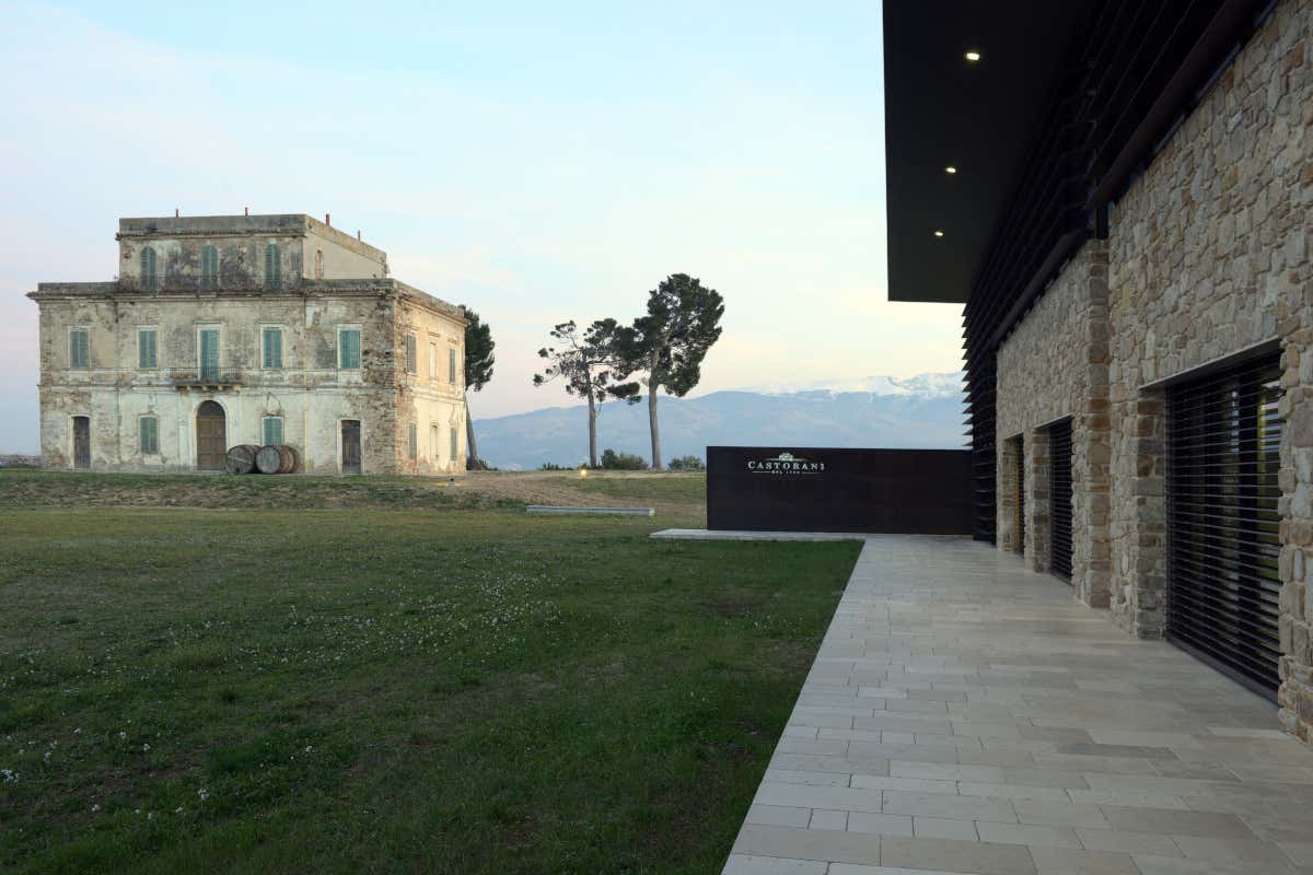 Cantina Castorani, dalla velocità della Formula 1 alla lentezza del vino