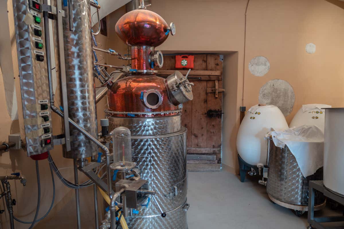 Niedermairhof, il B&B di charme tra le Dolomiti con spa e whiskey artigianale Niedermairhof, il B&B di charme tra le Dolomiti con spa e whiskey artigianale