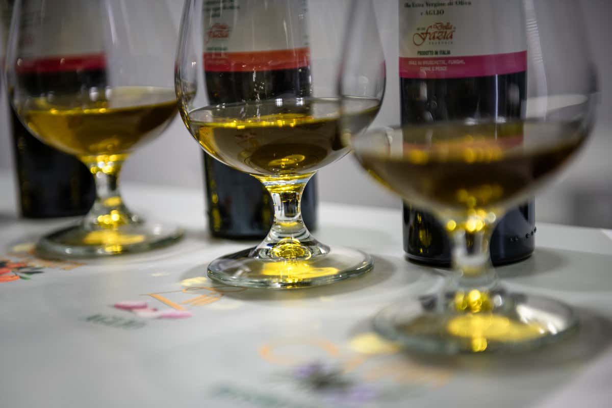 Sol d’Oro 2026: la Puglia guida il medagliere del concorso internazionale dell’olio evo Sol d’Oro 2026: la Puglia guida il medagliere del concorso internazionale dell’olio evo