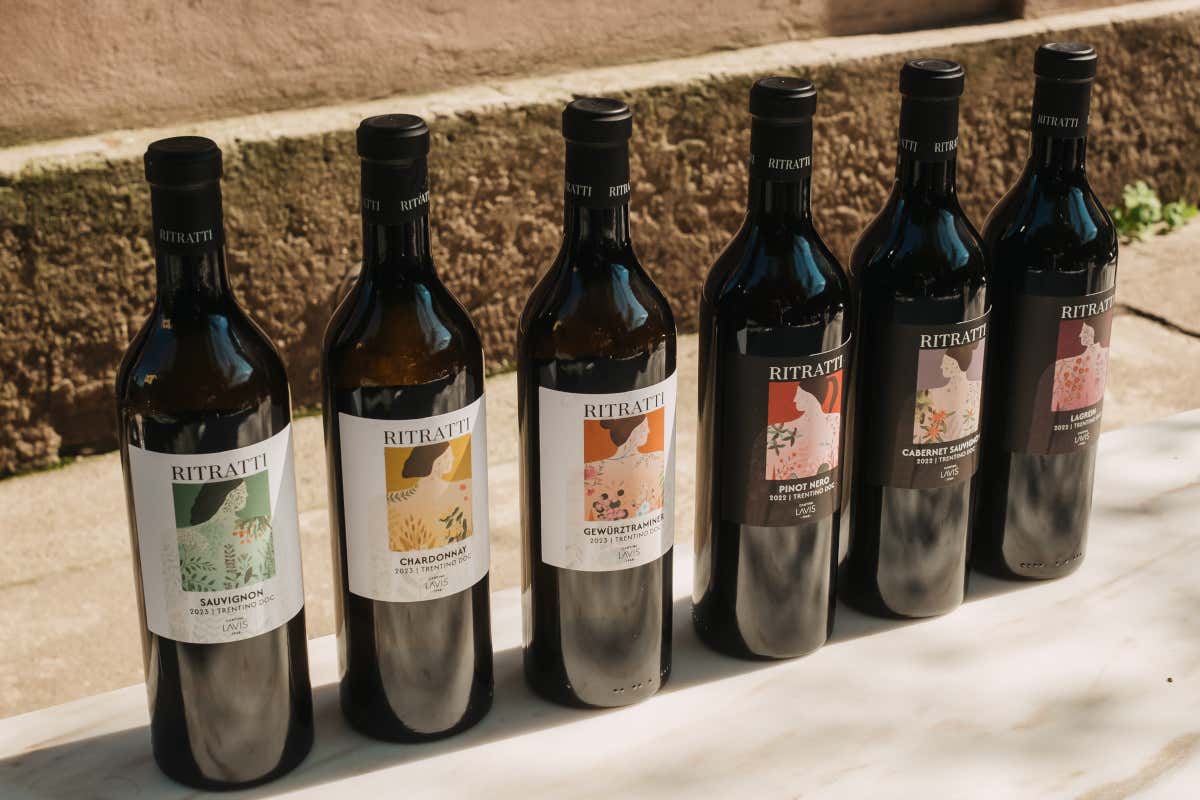 Cantina La Vis rinnova la linea Ritratti: sei vini con nuove etichette d'autore Cantina La Vis rinnova la linea Ritratti: sei vini con nuove etichette d'autore