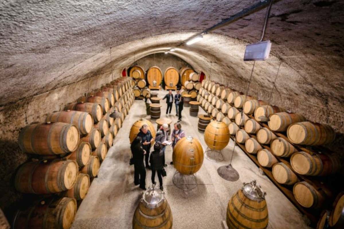 Gorizia e Nova Gorica celebrano la pace con un'asta di grandi vini del Collio Gorizia e Nova Gorica celebrano la pace con un'asta di grandi vini del Collio