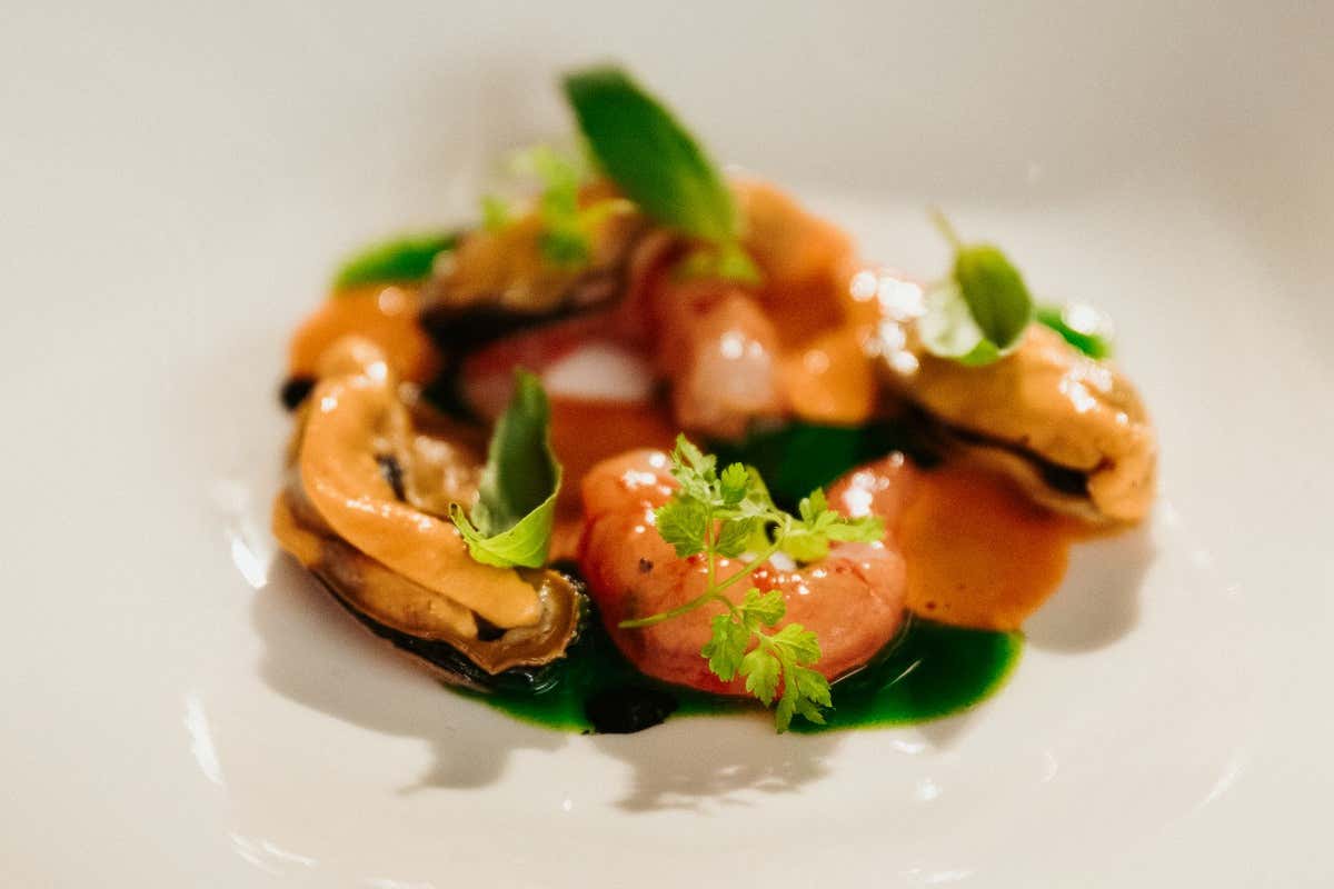 Gastronomia d'autore e ospitalità: I Conoscenti racconta una Bologna diversa