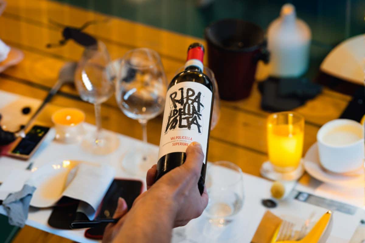 Viticoltura biologica e ricerca scientifica: il modello di Ripa della Volta