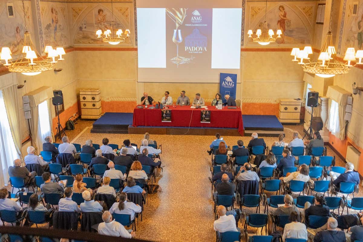 Le premiazioni dell'Alambicco d'Oro 2025 si sono svolte a Gazzo Padovano Alambicco d'Oro 2025: la premiazione itinerante rafforza il legame tra grappa e territori Le premiazioni dell'Alambicco d'Oro 2025 si sono svolte a Gazzo Padovano Alambicco d'Oro 2025: la premiazione itinerante rafforza il legame tra grappa e territori