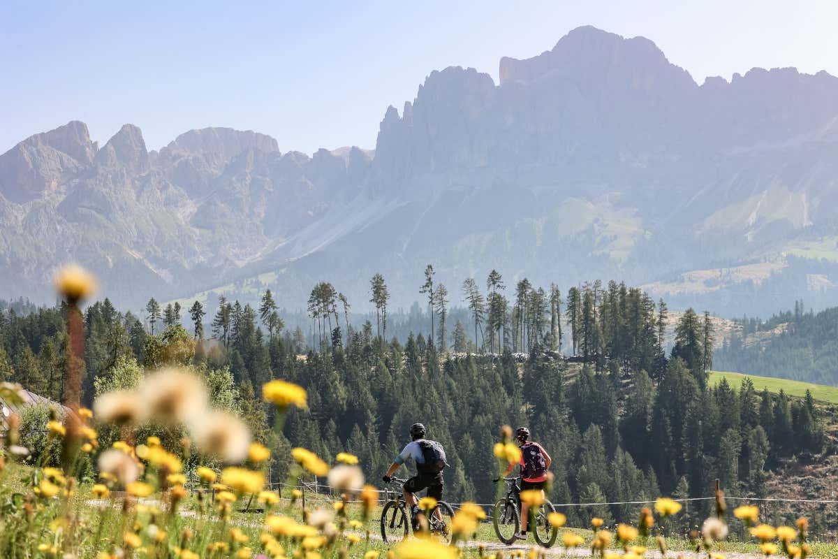 Vivere appieno la Val d'Ega in estate tra escursioni, bici e gastronomia