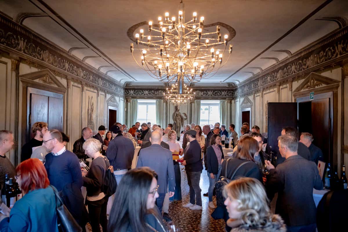 Caldaro, la Schiava torna al centro con il rilancio del territorio Caldaro, la Schiava torna al centro con il rilancio del territorio