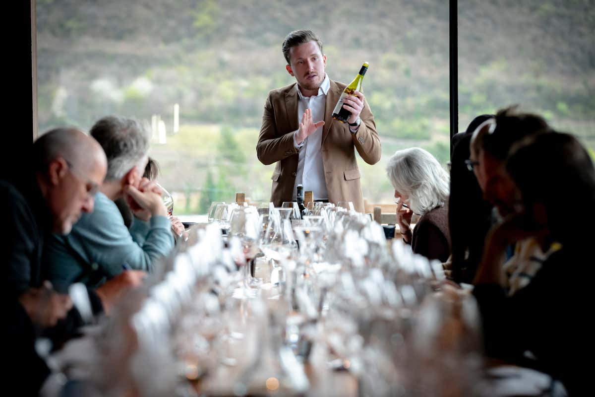 Caldaro, la Schiava torna al centro con il rilancio del territorio Caldaro, la Schiava torna al centro con il rilancio del territorio