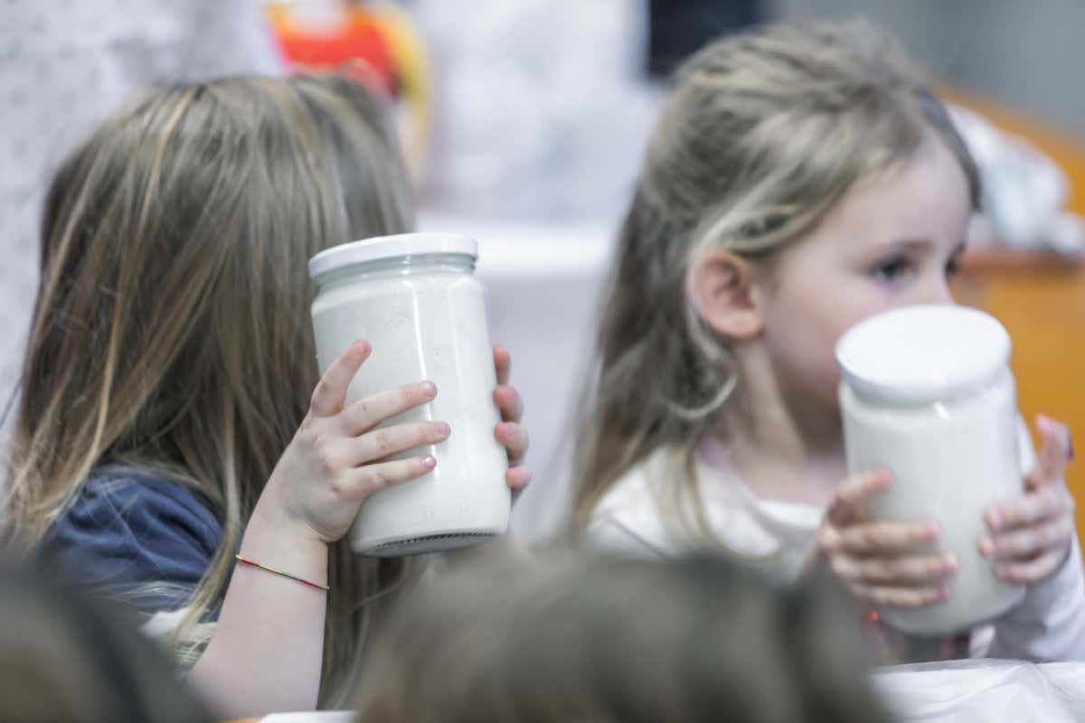 Il festival del formaggio nato davanti a un supermercato che ha conquistato l’Europa