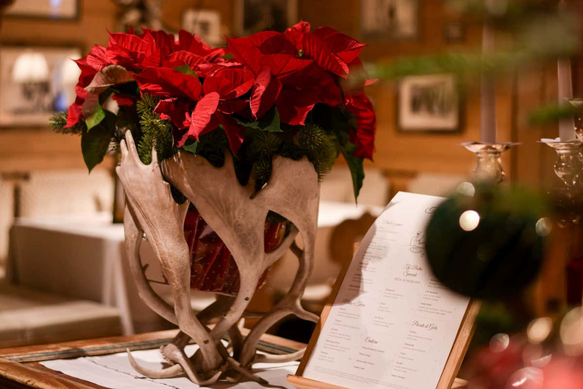Stella di Natale, il gran ritorno che scalda gli ambienti: idee scenografiche per hotel e ristoranti