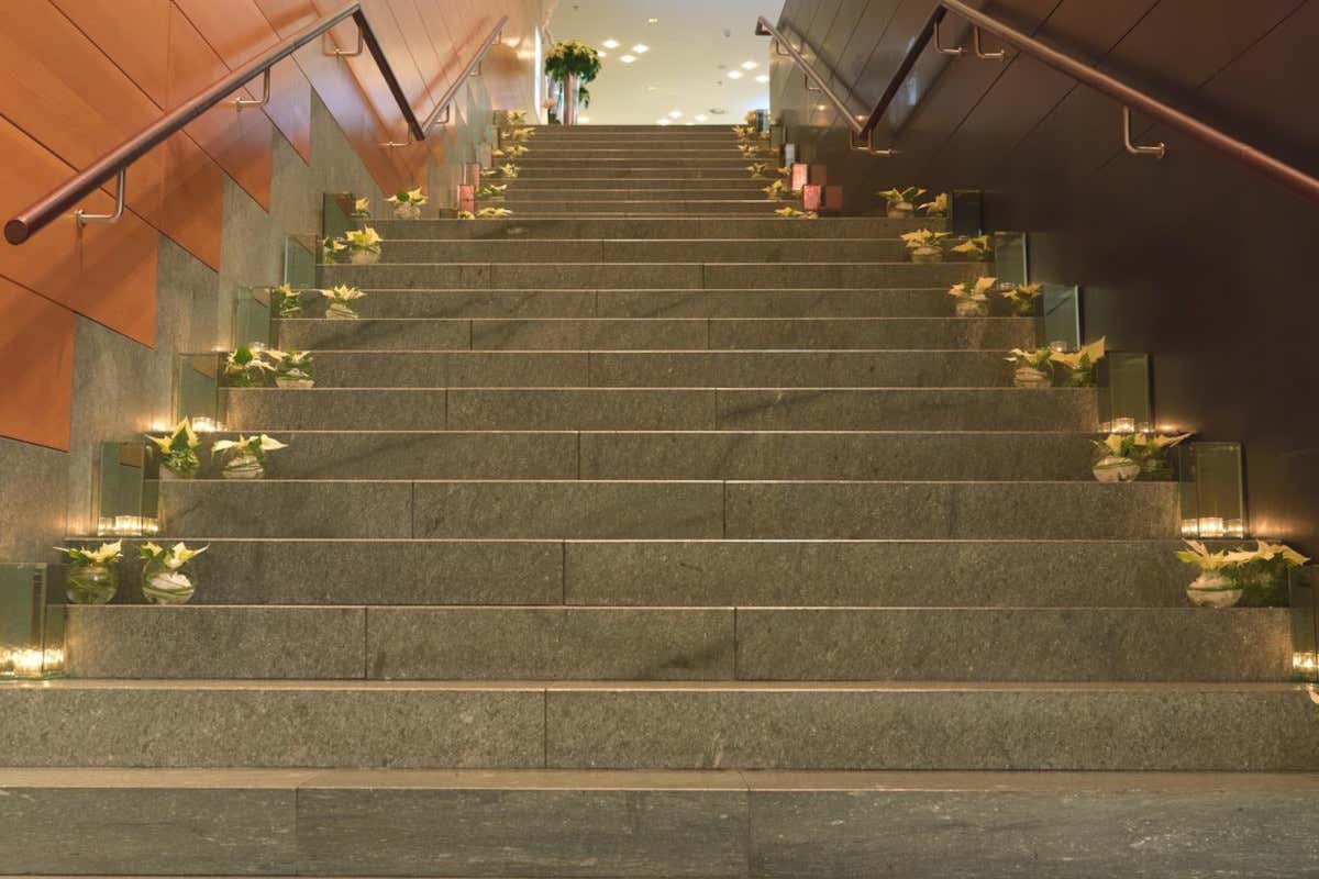 Stella di Natale, il gran ritorno che scalda gli ambienti: idee scenografiche per hotel e ristoranti