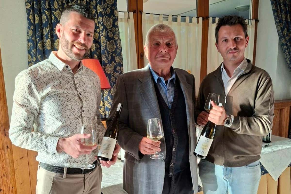 Val di Non, nasce Sass Griss: la cantina che punta sui vitigni Piwi a 900 metri