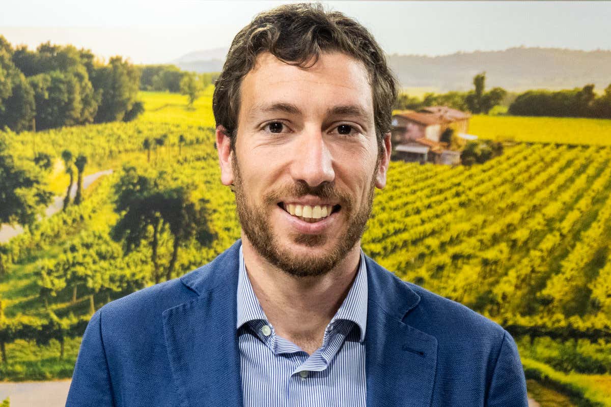 Gualberto Ricci Curbastro, vicepresidente del Consorzio Franciacorta