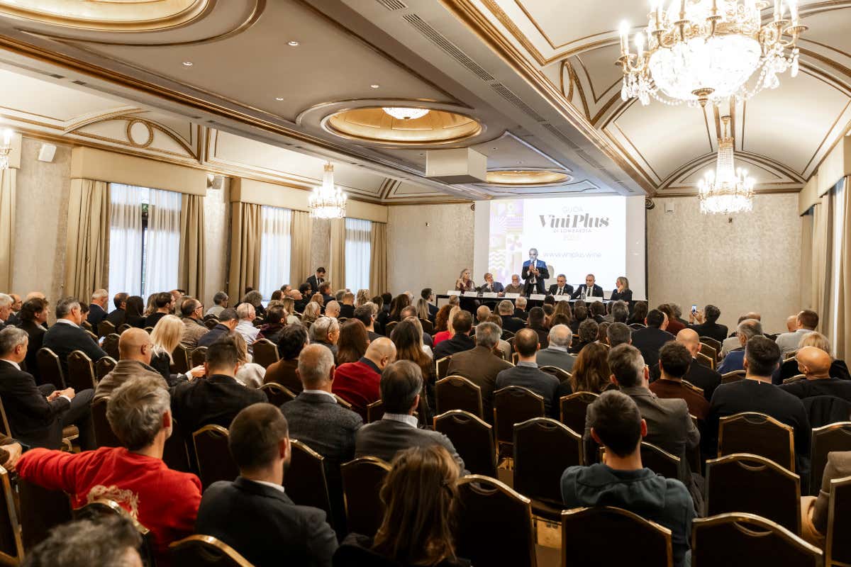 La presentazione della 20ª edizione della Guida ViniPlus di Ais Lombardia viniplus