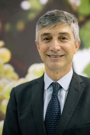 Fabio Maccari