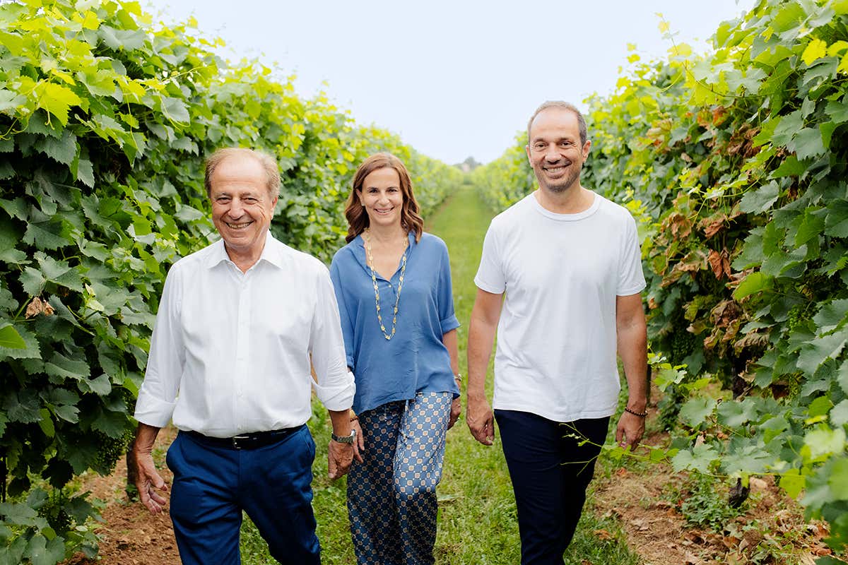 Dalle colline di Asolo al brindisi no alcol: il Prosecco Montelvini per ogni stile di vita Dalle colline di Asolo al brindisi no alcol: il Prosecco Montelvini per ogni stile di vita