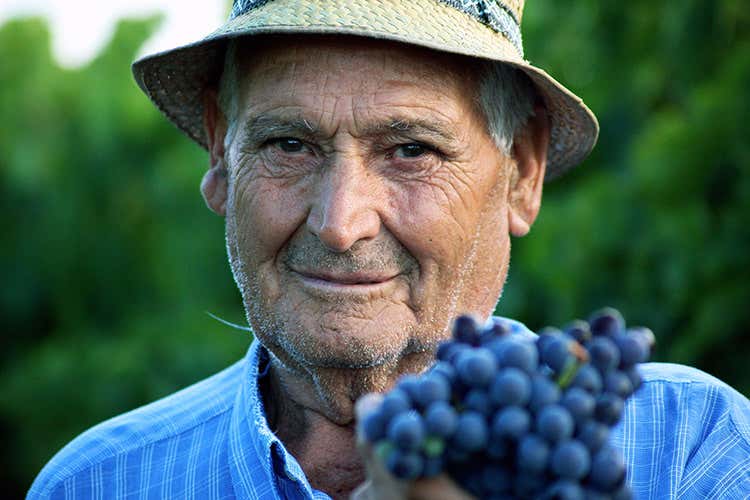 (Farnese Vini e la riscossa del Sud agricolo &laquo;Siamo stati il traino che non c'era&raquo;)