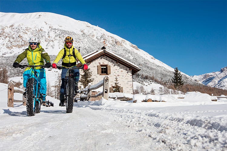Escursioni, anche in mountain bike - Un inverno alternativo a Livigno Ciaspolate e cucina a domicilio
