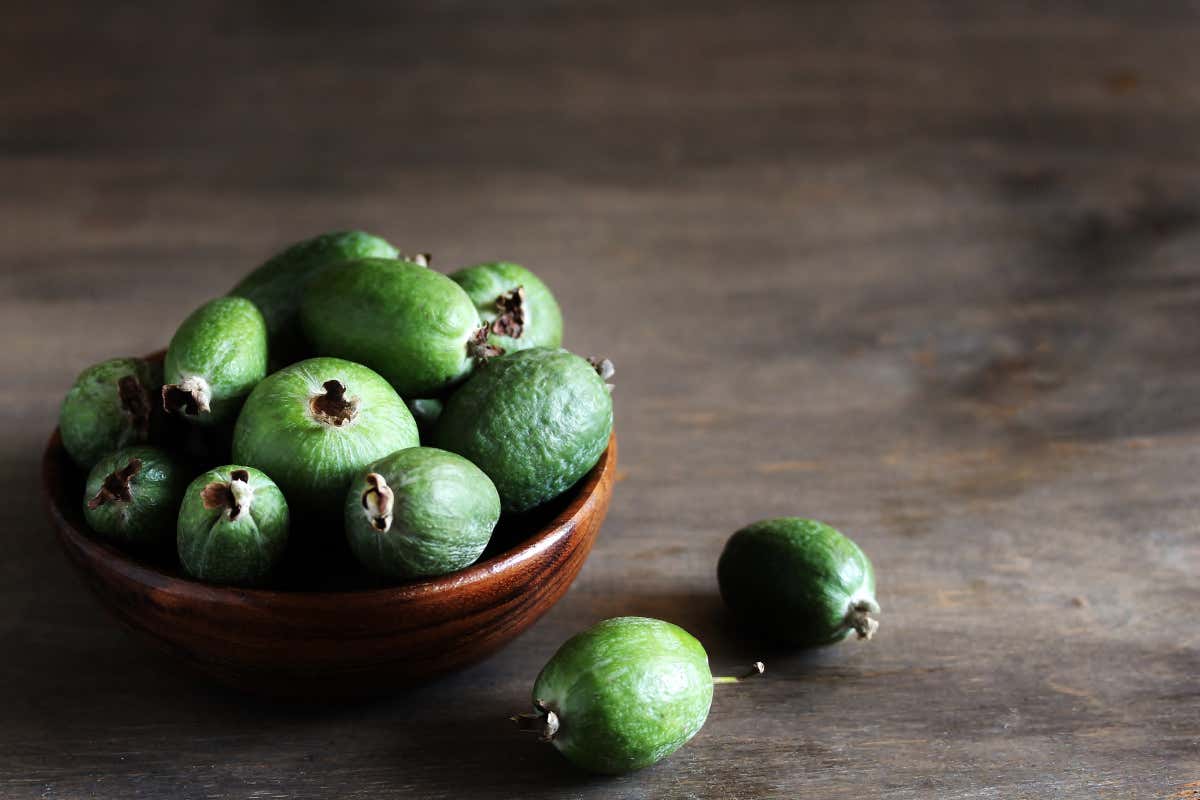 La Feijoa Hai mai mangiato la Feijoa? Scopriamone le proprietà
