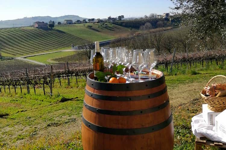 Oggi al vino dobbiamo legare il territorio, ha detto il presidente Ais Marche - Fermo, Cantina La Pila riceve il premio vinicolo San Martino