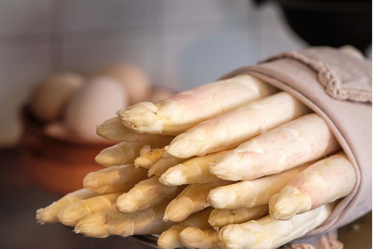 Asparagi bianchi di Grado Festa degli Asparagi: Grado omaggia le sue eccellenze Asparagi bianchi di Grado Festa degli Asparagi: Grado omaggia le sue eccellenze