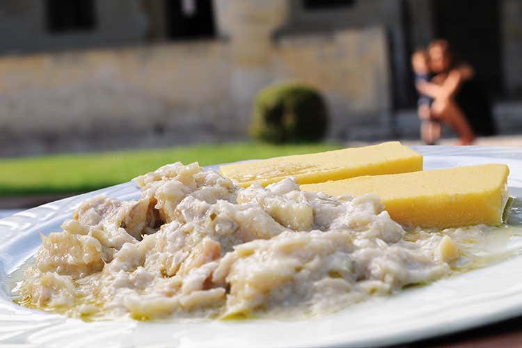 Polenta e bacalà (Festa del Bacalà, 32ª edizione Programma più lungo di 7 giorni) Polenta e bacalà (Festa del Bacalà, 32ª edizione Programma più lungo di 7 giorni)