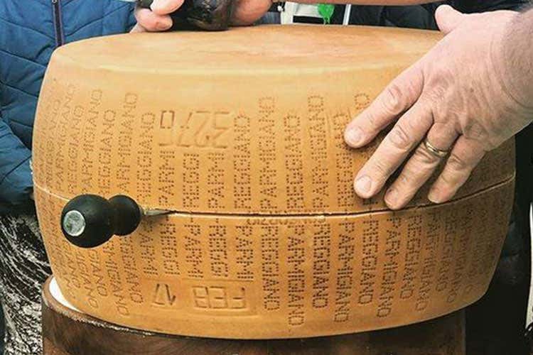 Forma di Parmigiano Reggiano (I segreti del Parmigiano Reggiano al Festival della Lentezza) Forma di Parmigiano Reggiano (I segreti del Parmigiano Reggiano al Festival della Lentezza)