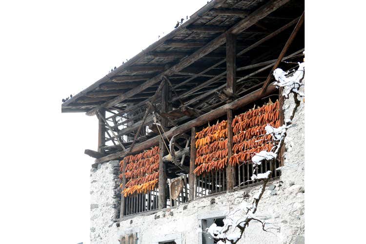 (Il Festival della polenta torna a Storo Sfide, ricette e assaggi nel weekend)