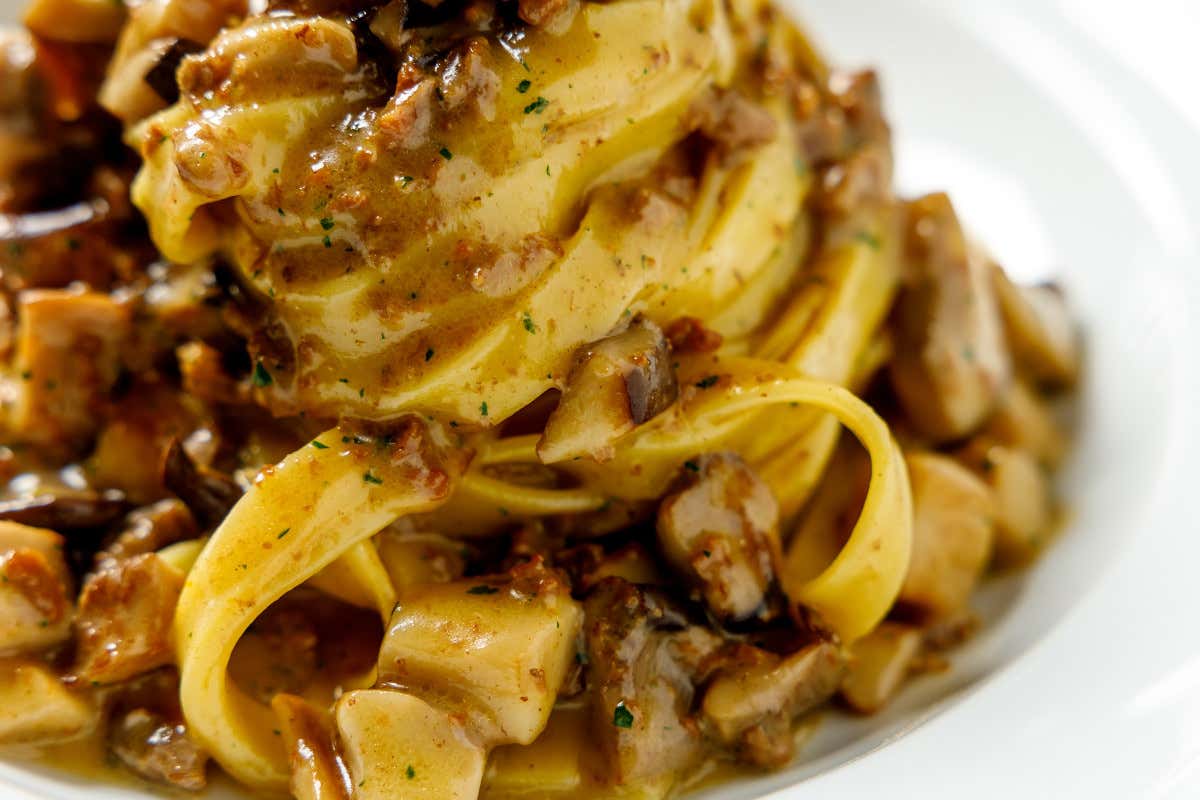 Fettuccina con ragù bianco e cardoncelli  Palazzo Ripetta riapre nel segno dell'ospitalità e del gusto