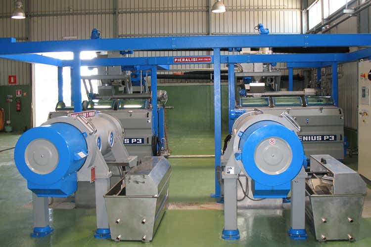 (Feudotto Biologico e Feudotto Novolio Igp Due oli di qualità de La Goccia d’Oro) (Feudotto Biologico e Feudotto Novolio Igp Due oli di qualità de La Goccia d’Oro)