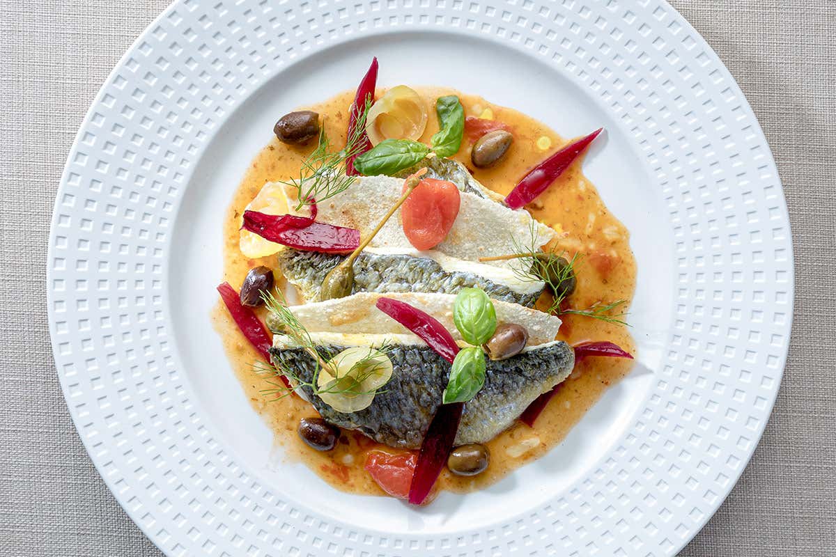 Filetto di orata in guazzetto di pomodori e mille foglie di pane carasau Filetto di orata in guazzetto di pomodori e mille foglie di pane carasau Filetto di orata in guazzetto di pomodori e mille foglie di pane carasau Filetto di orata in guazzetto di pomodori e mille foglie di pane carasau