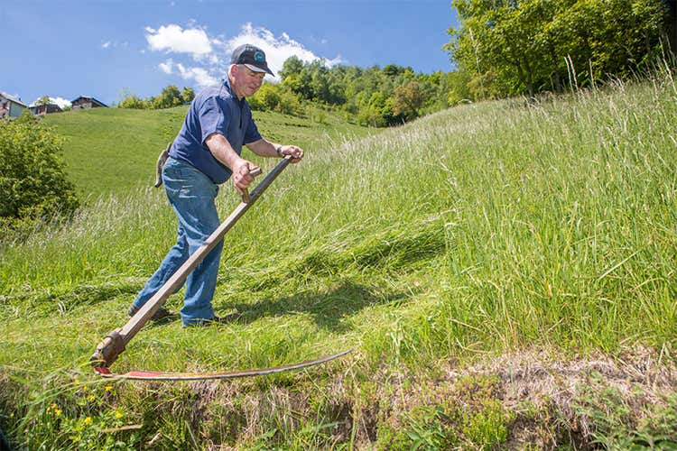 Filiera corta e rilancio del territorio Terra Alta di Valtellina parte da La Fiorida