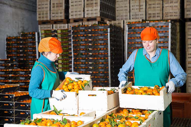 La filiera agroalimentare è un tesoro per l'Italia (La filiera estesa vale 538 miliardi Primo settore economico in Italia)