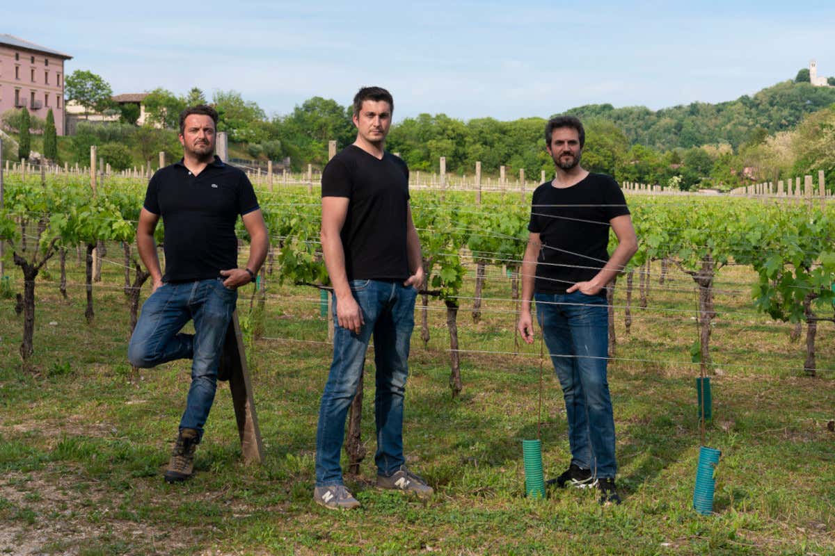 Dal Sauvignon al Picolit: le vecchie annate di Butussi sono una garanzia Dal Sauvignon al Picolit: le vecchie annate di Butussi sono una garanzia