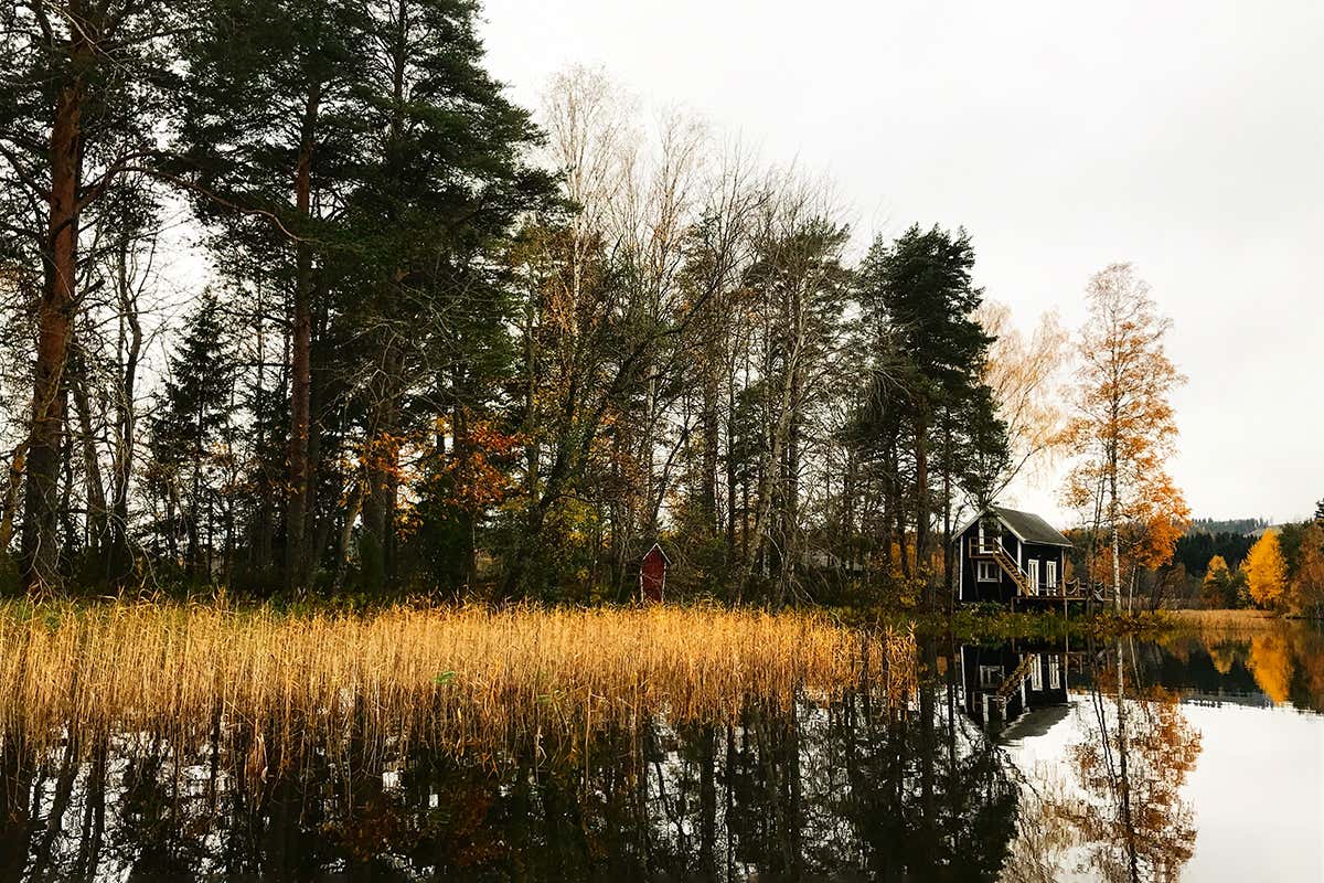 Mäntysaari, Finlandia Post Covid e voglia di socializzare? Macché! Isola deserta, da affittare