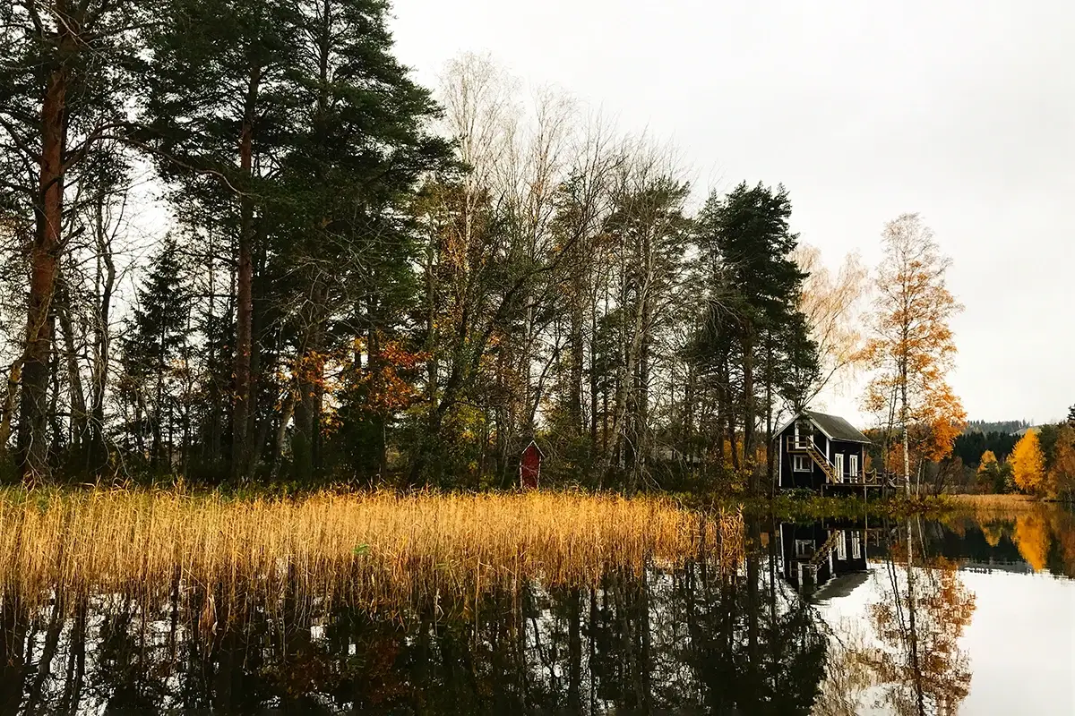 Mäntysaari, Finlandia Post Covid e voglia di socializzare? Macché! Isola deserta, da affittare