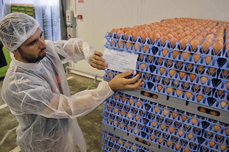 Fipronil, ancora campionamenti 200 uova sequestrate a Orbetello Fipronil, ancora campionamenti 200 uova sequestrate a Orbetello