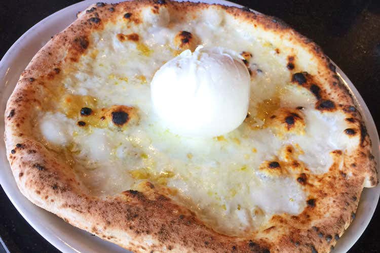 In Florida il meglio dei formaggi italiani Degustazioni e istruzioni per l’uso In Florida il meglio dei formaggi italiani Degustazioni e istruzioni per l’uso