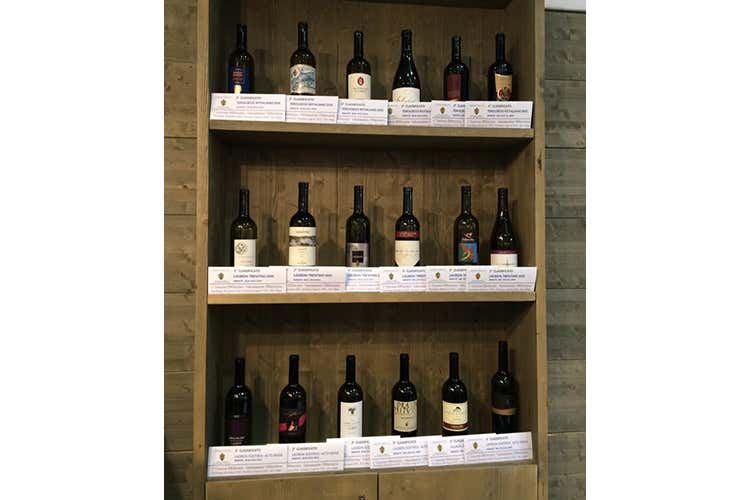 Fondazione Mach, concorso enotecnico per valorizzare i vini del territorio Fondazione Mach, concorso enotecnico per valorizzare i vini del territorio