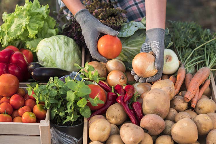 Le grandi aziende interpretano le esigenze di questa fascia di pubblico nuova e così influente - I food trend del futuro sono in mano ai millennials