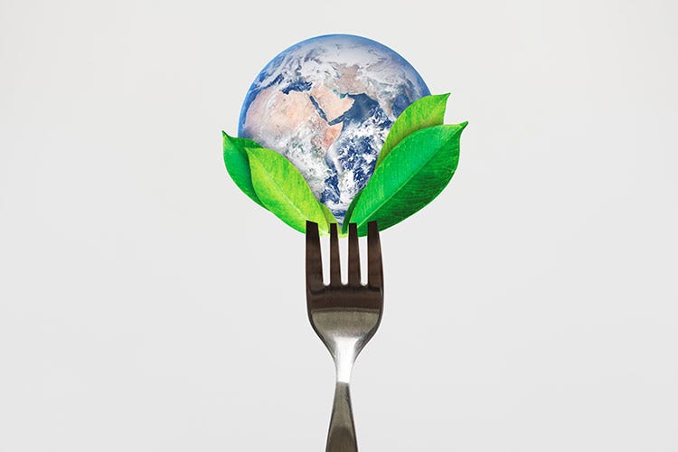 Il green tra i food trends del 2021 - Dalla sostenibilità alla trasparenza Le 5 sfide dell'Horeca nel 2021