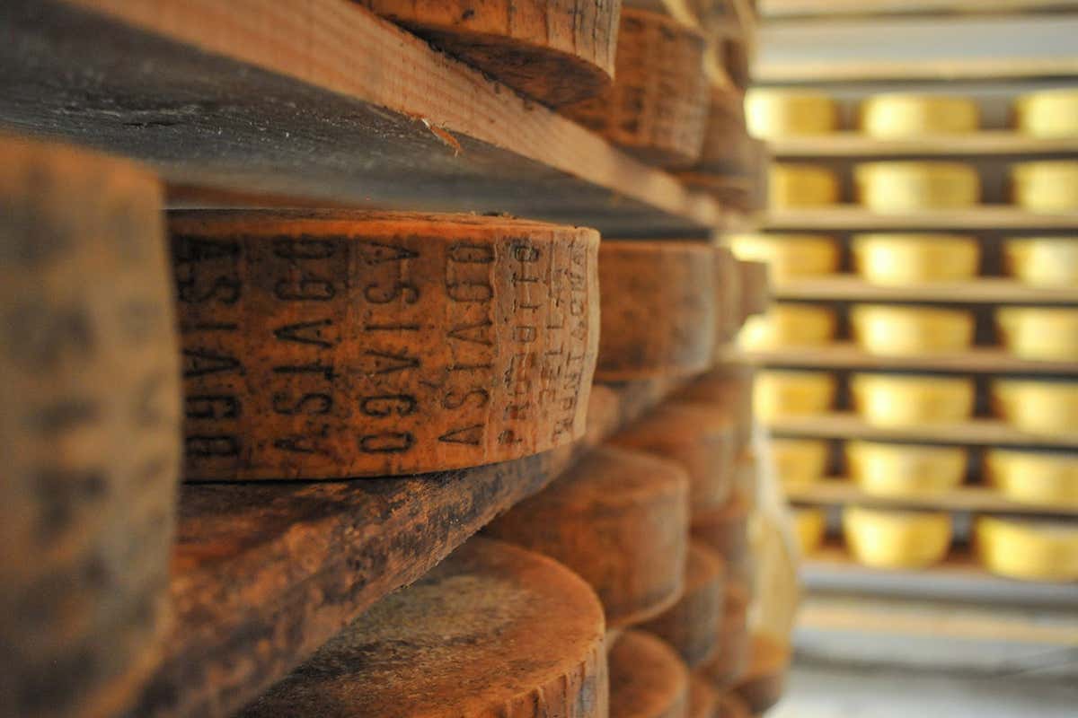 Il bilancio 2020 premia le scelte sostenibili Asiago Dop, positivo il bilancio Premiate le scelte sostenibili Il bilancio 2020 premia le scelte sostenibili Asiago Dop, positivo il bilancio Premiate le scelte sostenibili