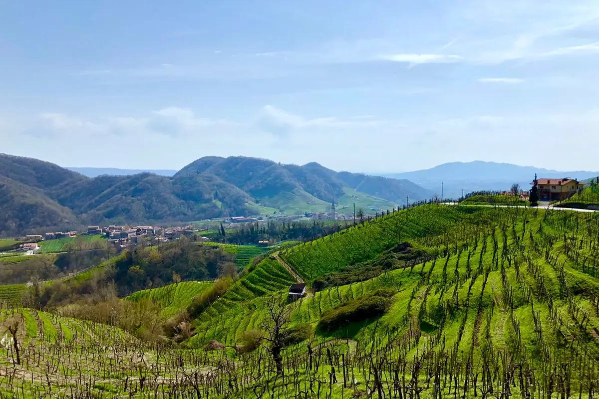 Foss Marai &egrave; stata fondata nel 1986 a Guia I vini di Foss Marai tra mondo famigliare e glamour internazionale