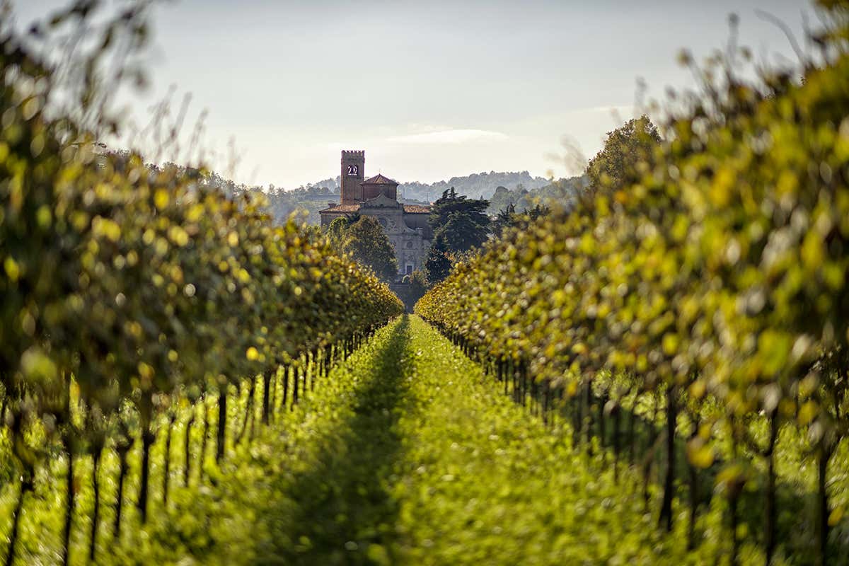 Tra colline vulcaniche, ville storiche e monasteri, il Parco Regionale dei Colli Euganei rappresenta un modello di equilibrio tra natura, agricoltura e presenza umana.