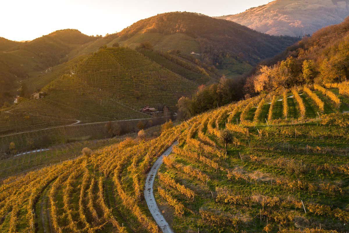 “Marna del Bacio”: il nuovo Rive di Valdobbiadene Docg di Andreola “Marna del Bacio”: il nuovo Rive di Valdobbiadene Docg di Andreola