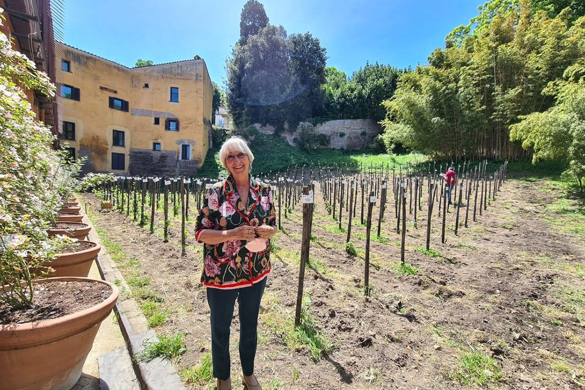 Francesca Maroni L’Era di maggio tra vino e piante Luca Maroni all’Orto Botanico