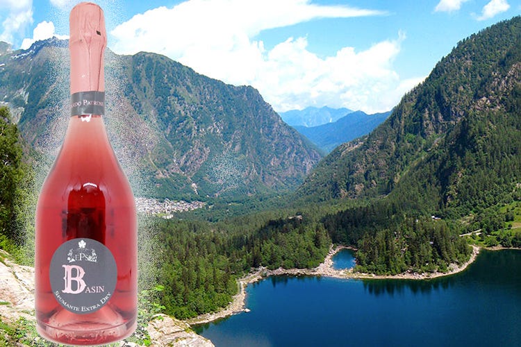 È il primo spumante prodotto con uve della val d'Ossola (Basin, il Rosé Extra Dry nato dalle uve della val d'Ossola)