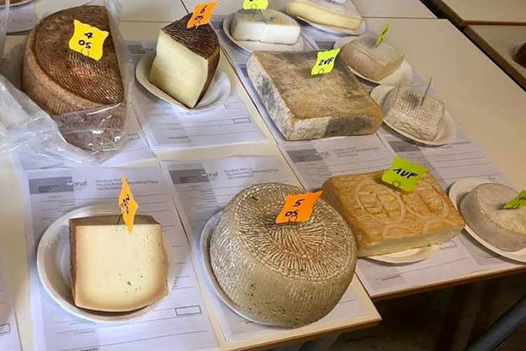 Le degustazioni di formaggi saranno condotte dall'Onaf (Franciacorta in bianco Tre giorni dedicati ai formaggi)