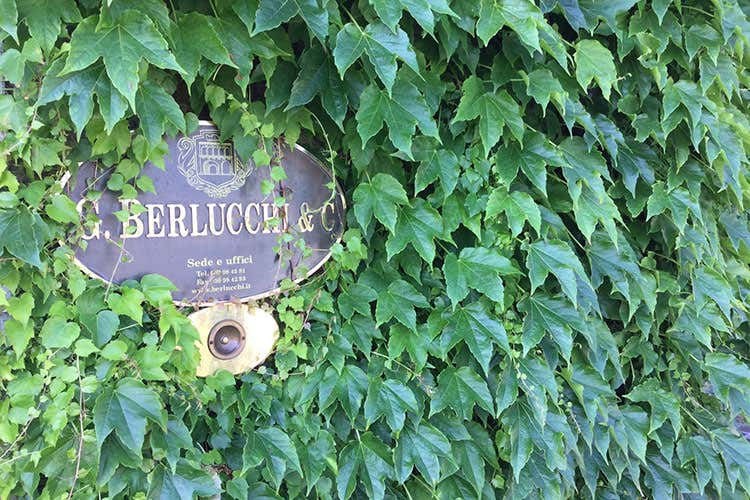 Franciacorta, la prima bottiglia nel 1961 Ziliani e Berlucchi, accoppiata vincente